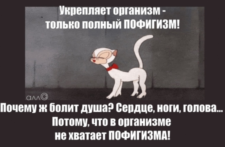 Нужен полностью. Солнце воздух пофигизм укрепляет организм. Здоровый пофигизм укрепляет организм. Открытки пофигизм укрепляет организм. Укрепляет организм только полный пофигизм.