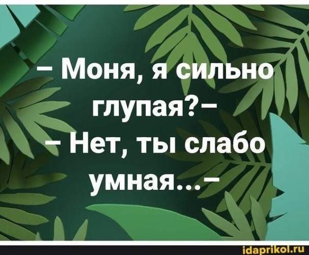 Глупый сильно