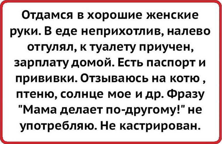 Отдамся в хорошие женские. Приучен давать. Приучен давать. Анекдоты про кнут. Приучен давать.