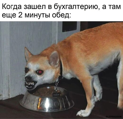 Собака мем сам только зашел