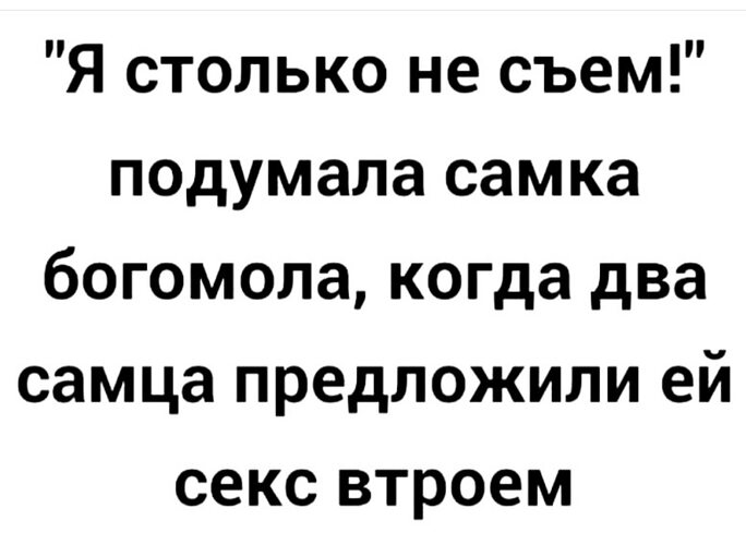 Самка богомола картинки прикольные