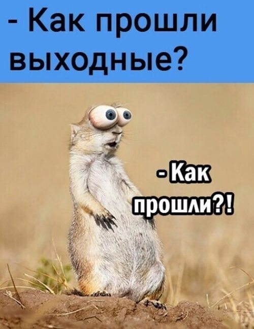 Как не выходной так новый парнишка в сетях Как не выходной так новый парнишка в сетях