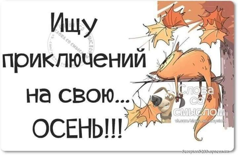 Октябрь смешное. Приколы про осень. Анекдоты про осень в картинках. Осенние шутки. Осенний юмор в картинках.