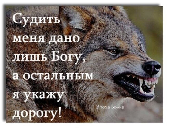 Через остальной. Судить меня дано лишь. Судить меня дано лишь Богу. Судить меня дано лишь Богу другим укажу дорогу. Эпоха волка по славянскому календарю.