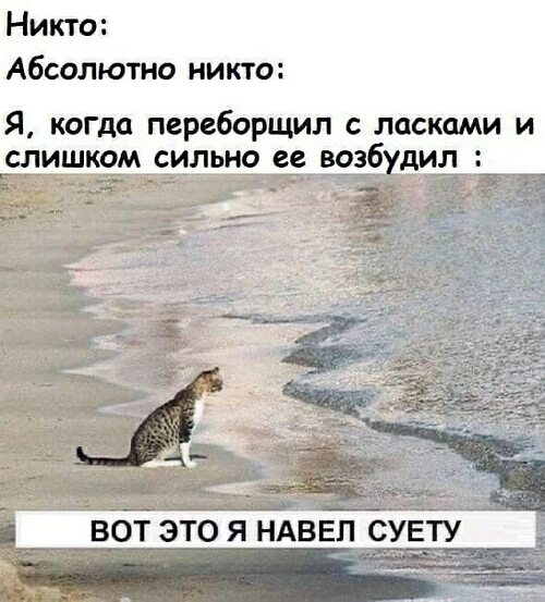 Енотка наводит суету на ровном месте, рыбаки уже не знают куда деваться от этого животного