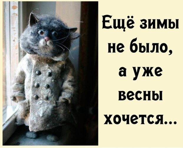 Пофиг что зима снег и мороз - рискнули и всё-таки потрахались