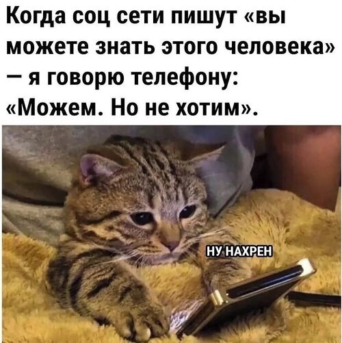 В Сети И Не Пишет Картинки