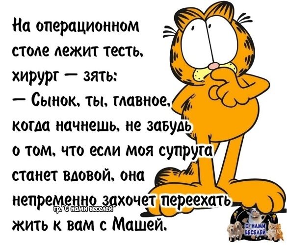Анекдоты с картинками