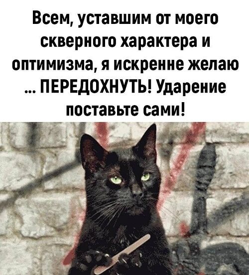 Кот с ногтями мем