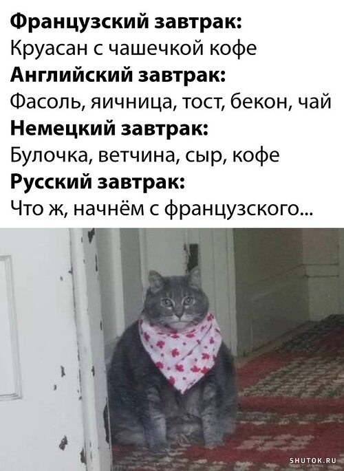 Кот ждет мем
