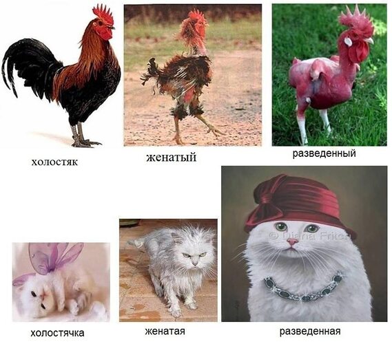 Женщина до и после развода
