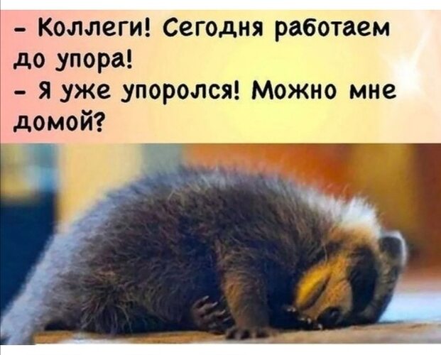 До работать. Сегодня работаем до упора я уже упоролся можно мне домой. Сегодня работаем до упора. Я уже упоролась можно мне домой. Можно мне домой.