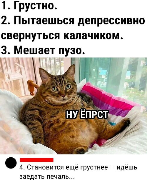 Мемы 4 января 2025 года