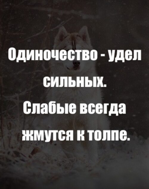 Удел это. Одиночество удел сильных слабые всегда жмутся. Одиночество удел сильных. Одиночество удел сильных слабые. Слабые всегда жмутся к толпе.