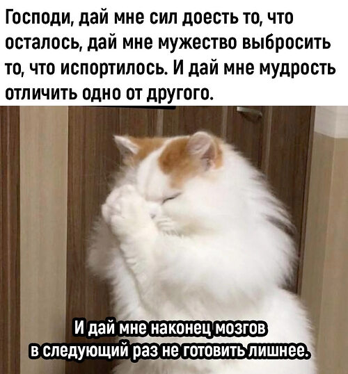 Мем господи дай мне сил
