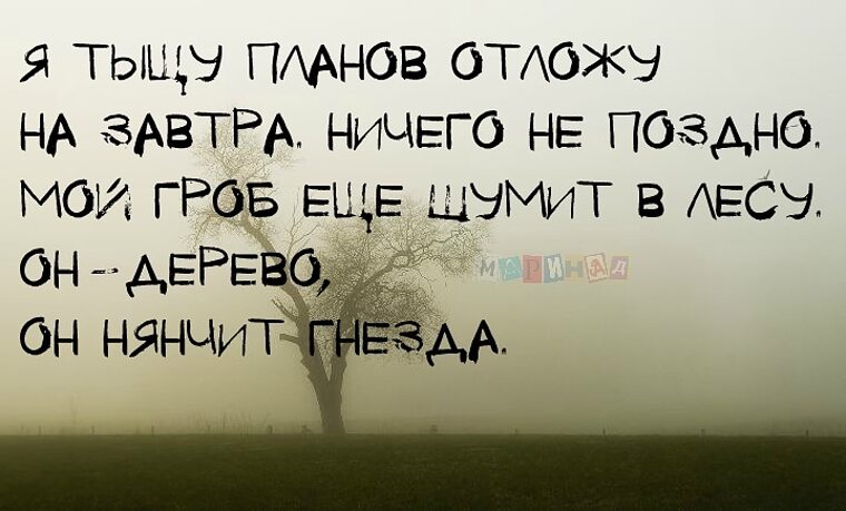 Живи сегодня не откладывай на завтра ничего картинки