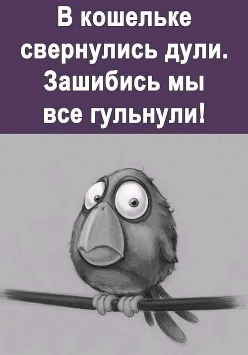 Кошечка сказала зашибись