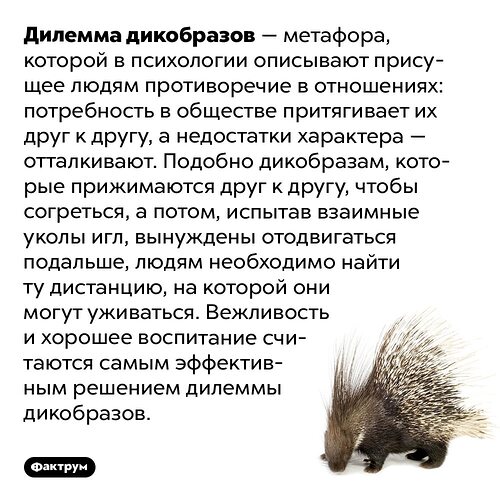 Сказка о том,как выработать решение в условиях риска и