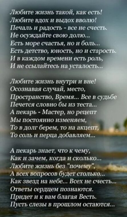 Песня со словами печаль. Любите жизнь стихи. Стих любите жизнь такой как есть любите. Живу и люблю стихи. Всёпройдёти печальирадость.