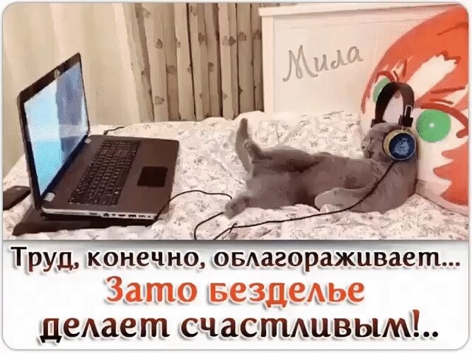 Пришла из магазина и разбудила лентяя Пришла из магазина и разбудила лентяя