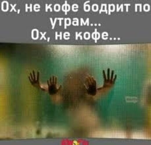 День начинается не с кофе а со стонов День начинается не с кофе а со стонов