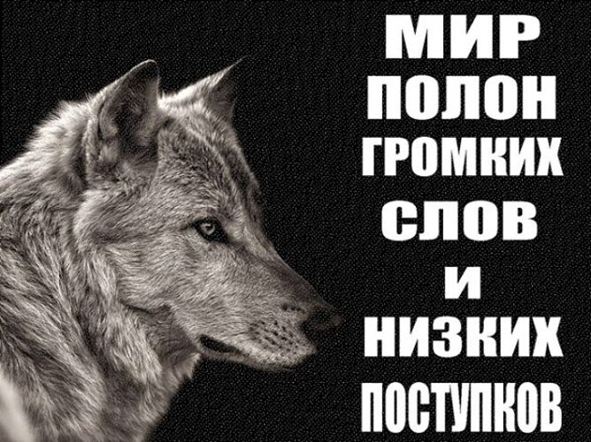 Меньше громких слов больше тихих действий картинки