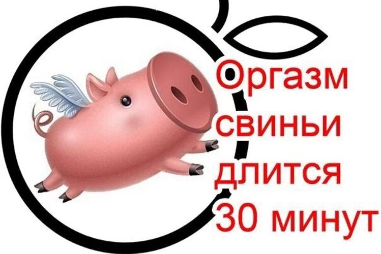Только анальный оргазм может сделать день еще лучше Только анальный оргазм может сделать день еще лучше