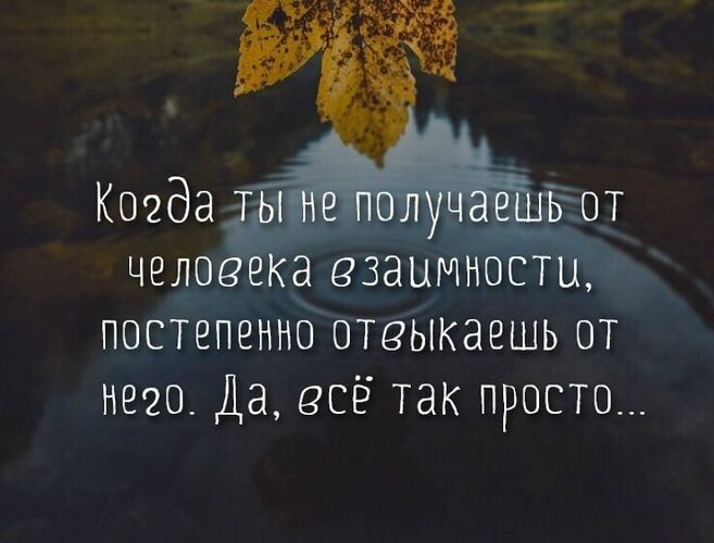 Ты получишь от него все