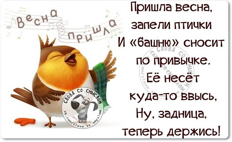 Статусы приходили. Цитаты Весна пришла прикольные. Прикольные выражения про весну. Смешные фразы про весну. С приходом весны цитаты.