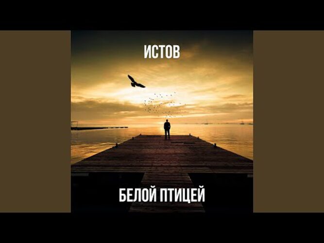 Истов mp3. Песня белой птицей истов. Белой птицей истов слушать. Истов Вера. Истов белой птицей слова.