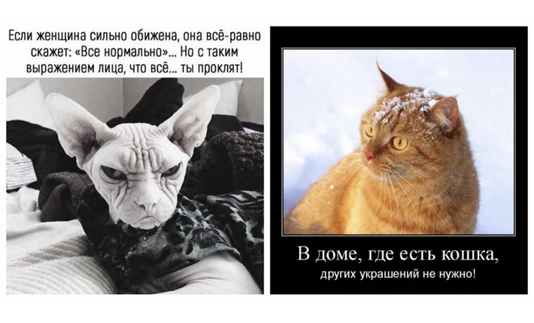 Вроде брюнетка ничего особенного Вроде брюнетка ничего особенного