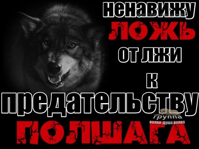 Группа волк. Группа волки. Волка не сломить. Душа волка в человеке. Волк и ложь.