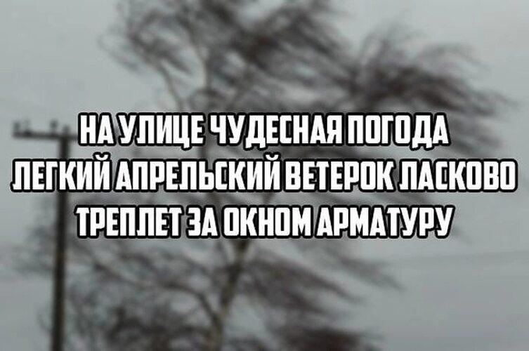 Картинки прикольные сильный ветер с юмором