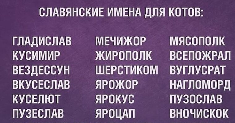 Древнерусские клички собак мем