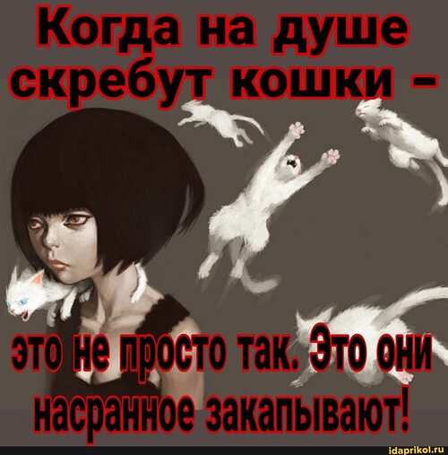 Кошки на душе скребут