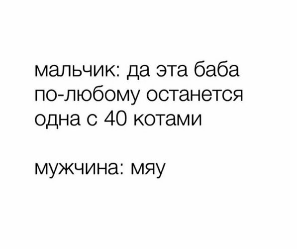 Купить Токио Мяу Мяу в интернет магазине Bazar.cd