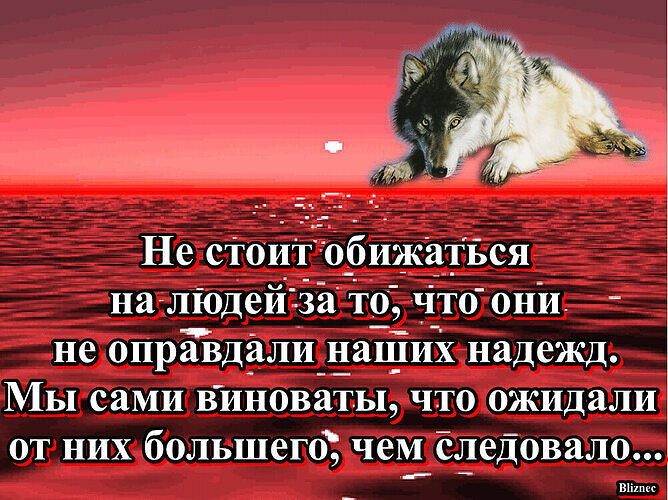 В том что все они. Мы сами виноваты. Мы сами виноваты в своих. Мы сами виноваты в своих бедах. Сама виновата цитаты.