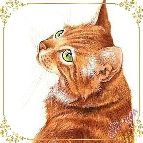 Рыжий кот рисунок