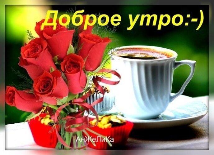 Картинки четверг доброе утро прекрасного дня. Красивые розы с пожеланиями доброго утра. Доброе утро хорошего четверга. Розы с пожеланием доброго утра и дня. Открытки с добрым утром с розами.