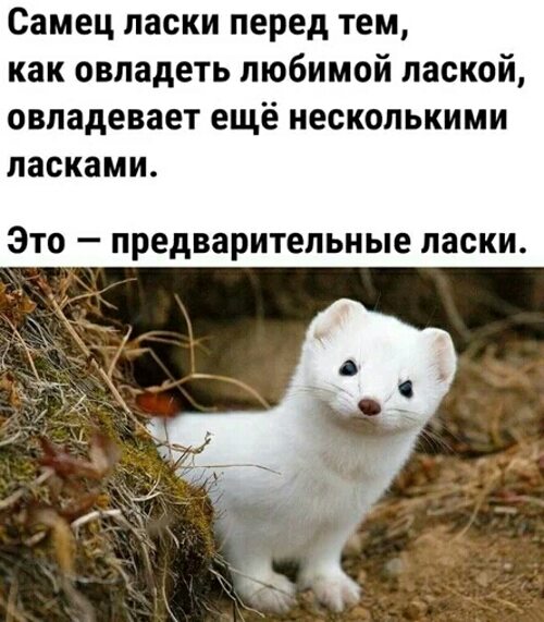 Может поласкать вас языком 