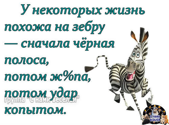 Жить похожие. Жизнь похожа на зебру. ...Моя жизнь похожа на зебру.... На что похожа жизнь. Жизнь похожа на зебру стихи.