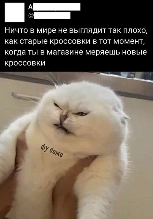 Покажи мемы 26 года