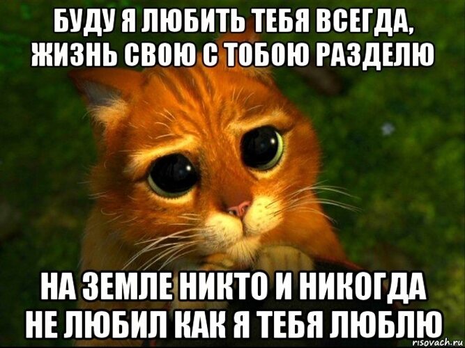 Никогда не являлась. Никто меня не любит никто не уважает. Никто тебя не любит так как я. Меня никто не любит я тебя люблю. Прости я не хотела тебя обидеть картинки.