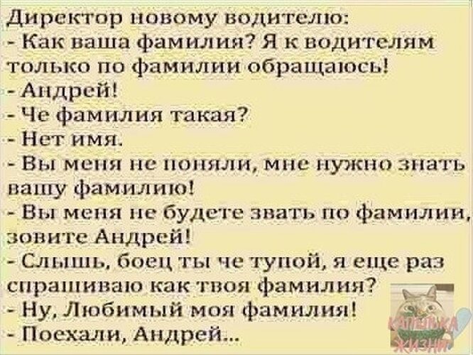 Ваши любимые анекдоты. Анекдот про фамилию любимый. Фамилия любимый. Анекдот про водителя с фамилией любимый. Водитель по фамилии любимый.