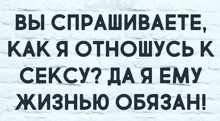 скорость жизни должна быть такой чтобы глаза успевали. цитаты про паузу. жизнь на паузе афоризмы. афоризмы про удовольствие. мудрость с юмором.