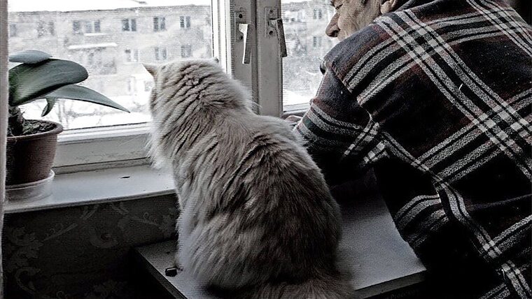 Animals дзен рассказы