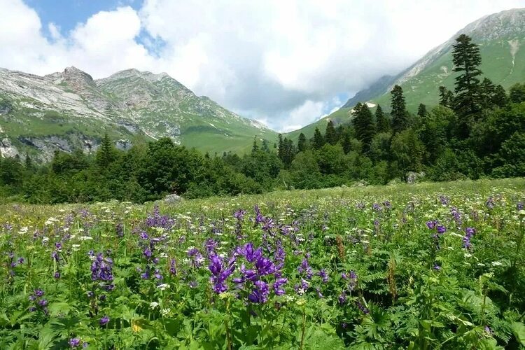 Предгорная зона Краснодарского края