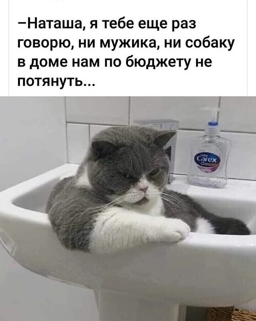 Потянешь девушка. Потянешь Мем. Приколы 22. Смешные
