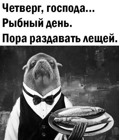 Четверг Рыбный День Картинки Прикольные Смешные