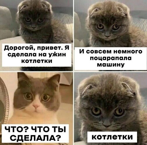 Картинки и мемы для настроения - 25 - ЯПлакалъ